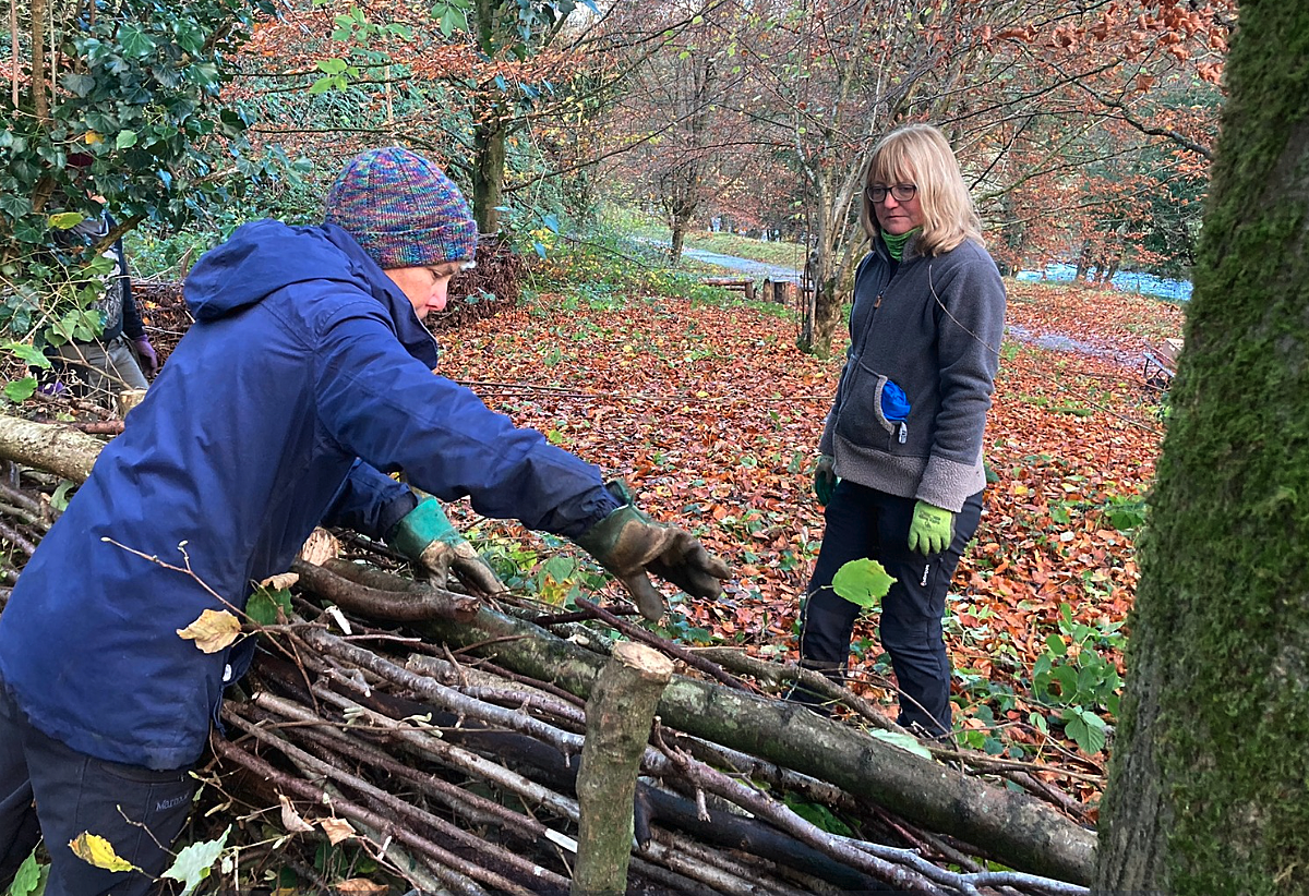 Heritage Crafts Taster Introduction to creating dead hedges 19th April