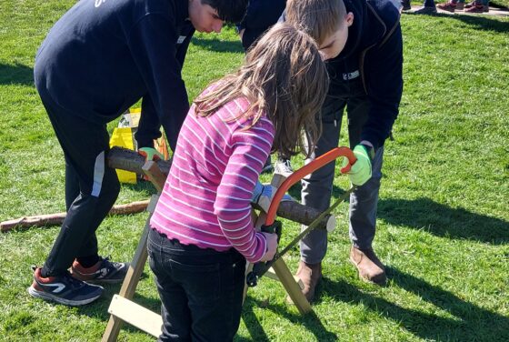 Forest School Fun Day