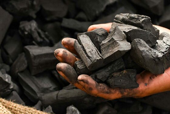 Heritage Crafts Taster: Making charcoal