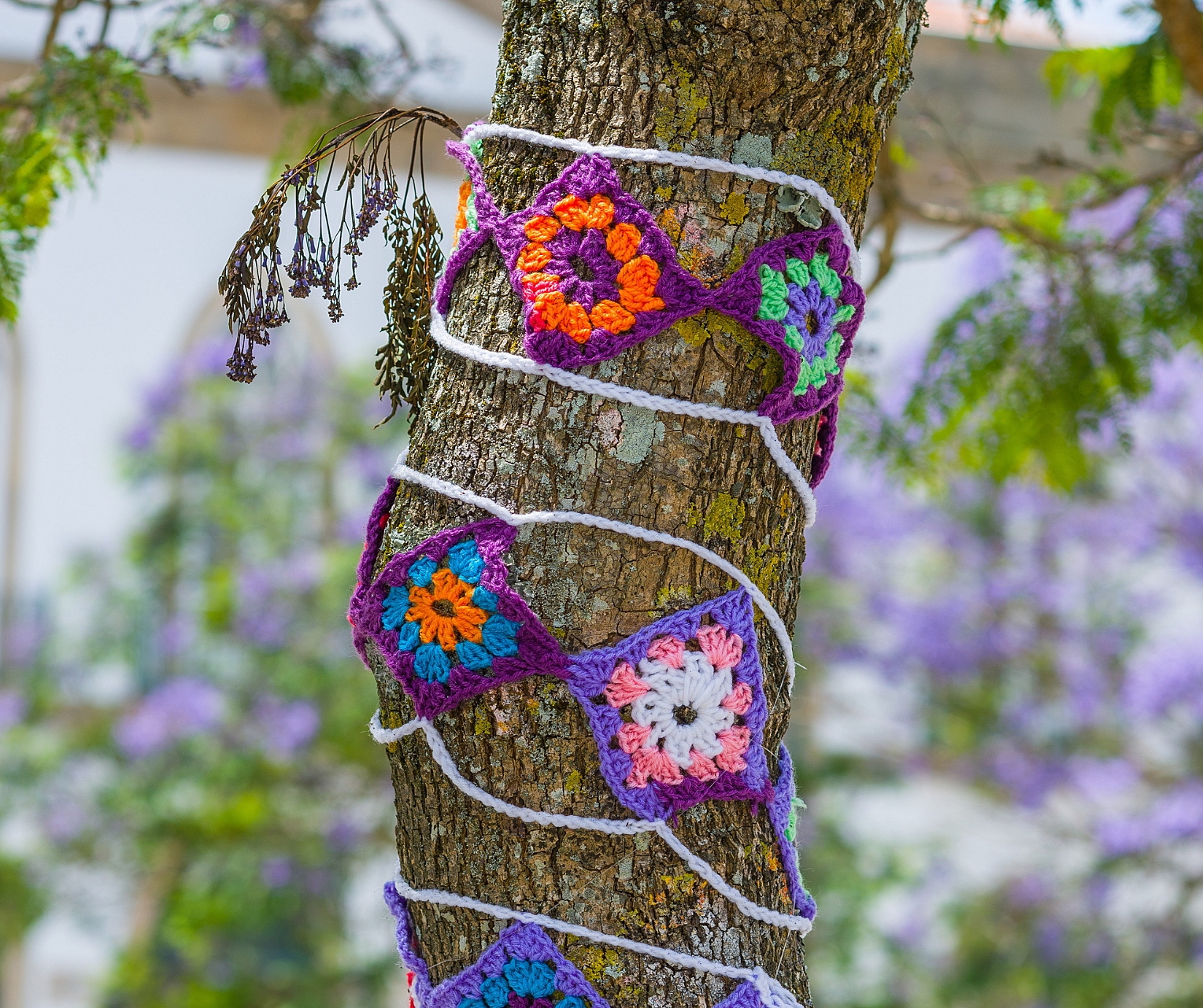 Yarn Bombing Main Photo