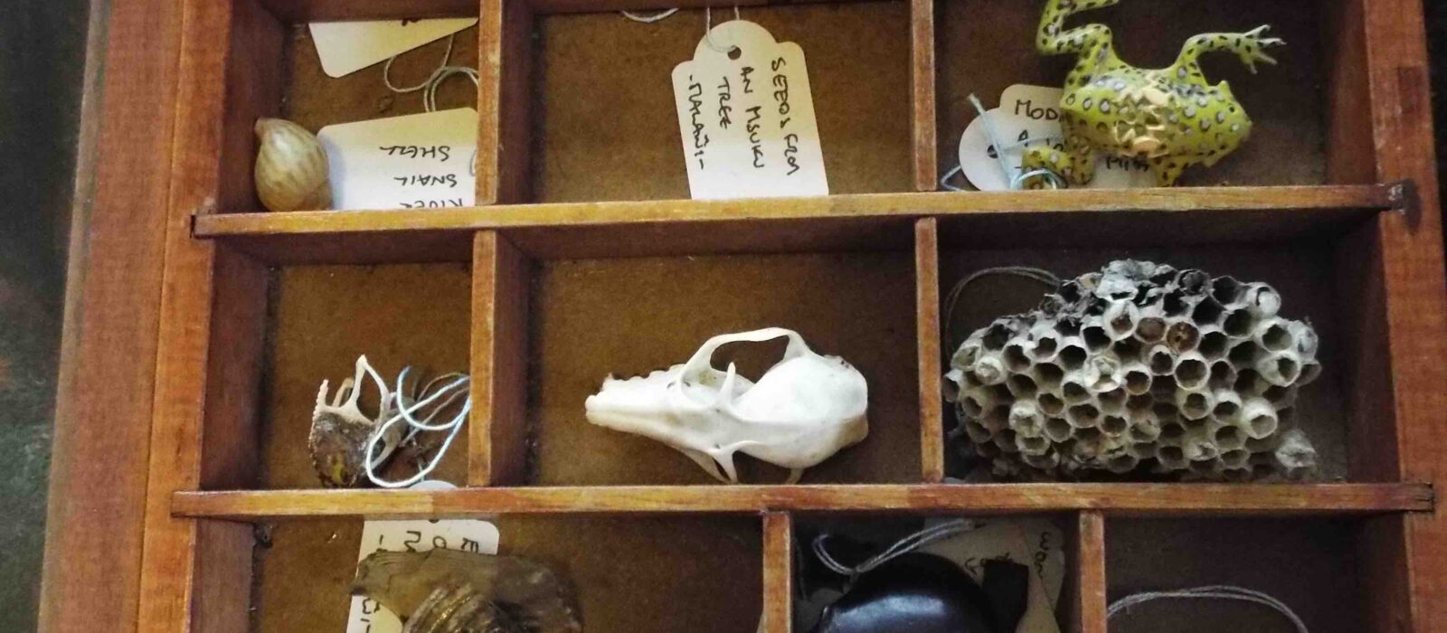 Cabinet of Treasures jpg