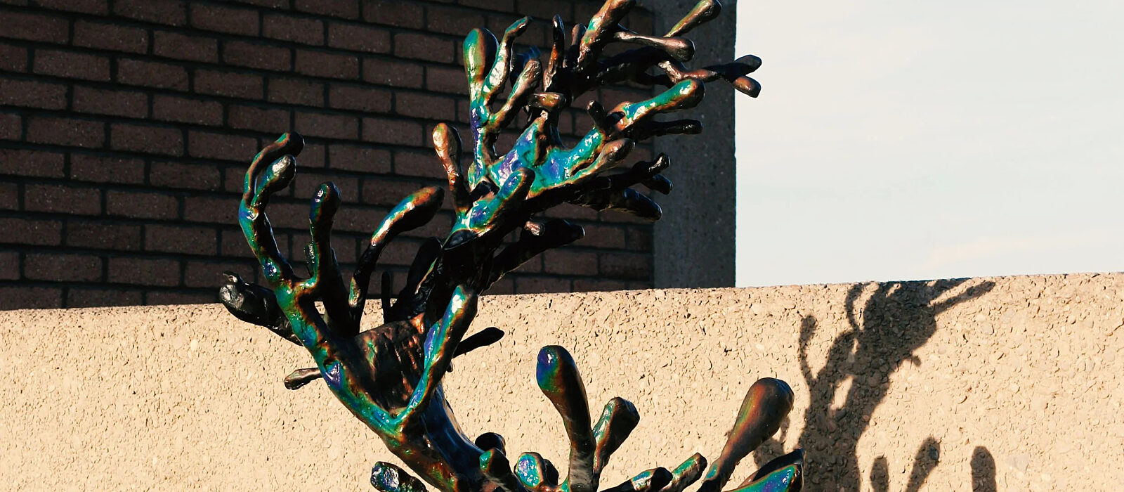 Concious Creativity environmental sustainability training jpg