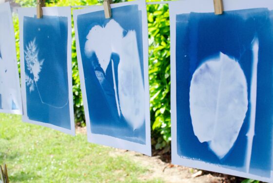 Cyanotype Workshop with Dean Leivers