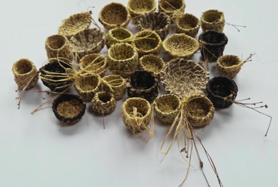 Natural Fibres - Skills Sharing