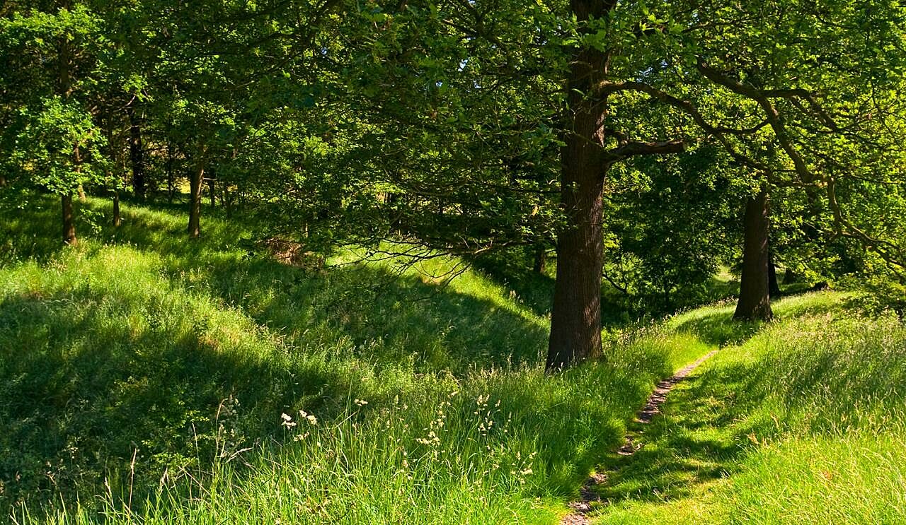 National Trust Images Robert Morris Web