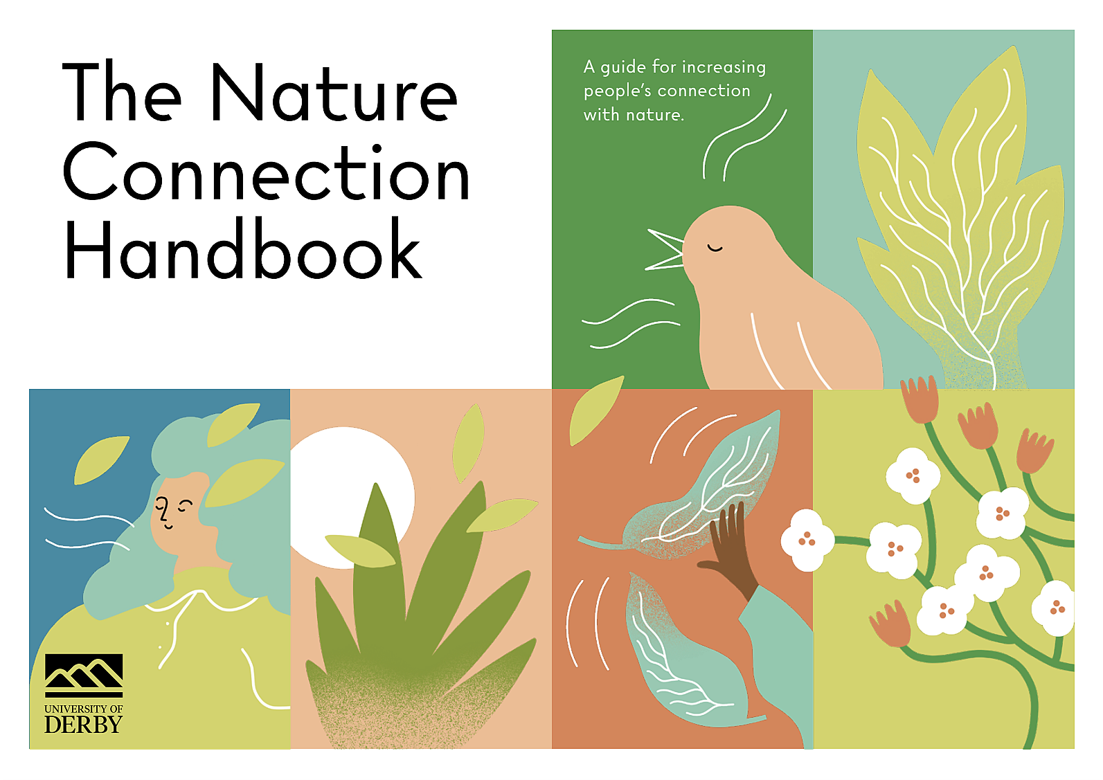 Nature Connection Handbook