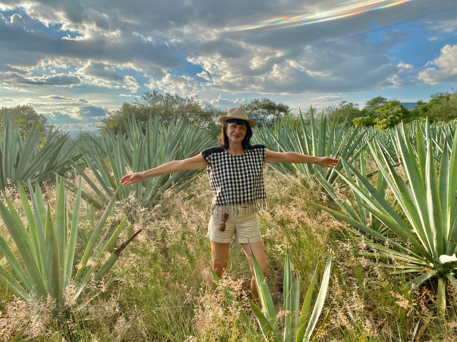 Carry in agave field