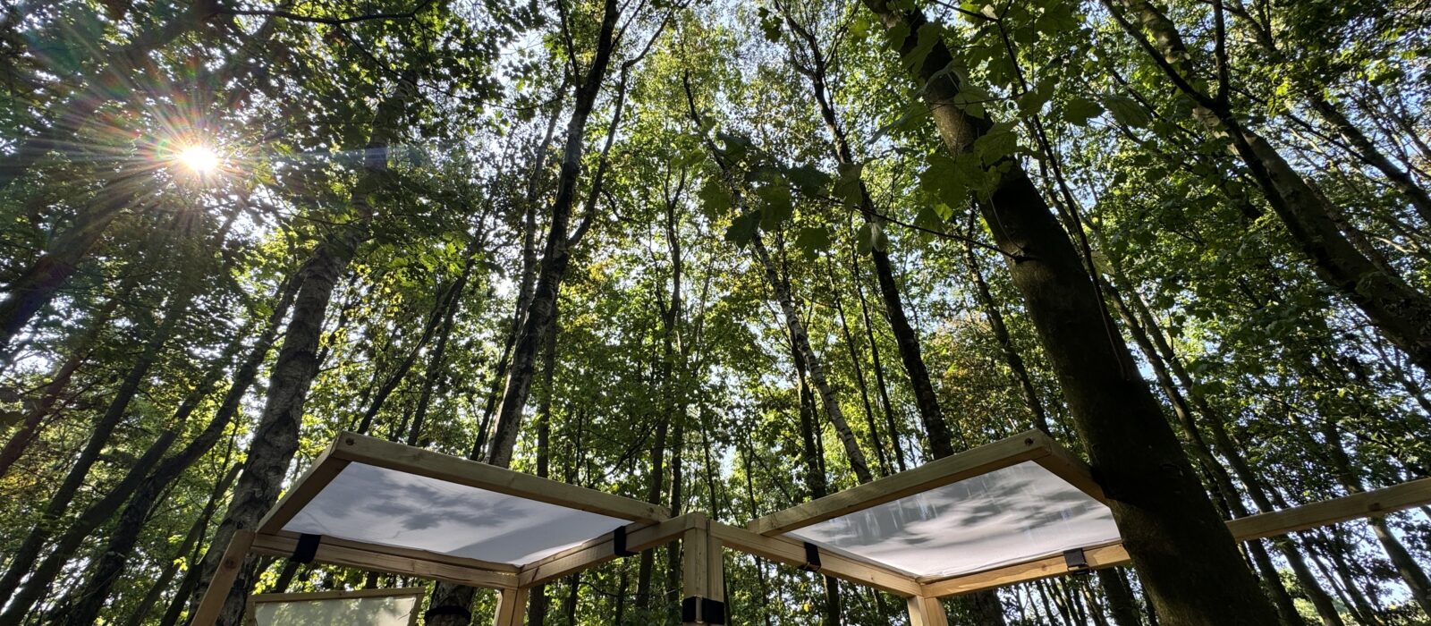 Make Room Craft Wood. Photo Richard Tymon