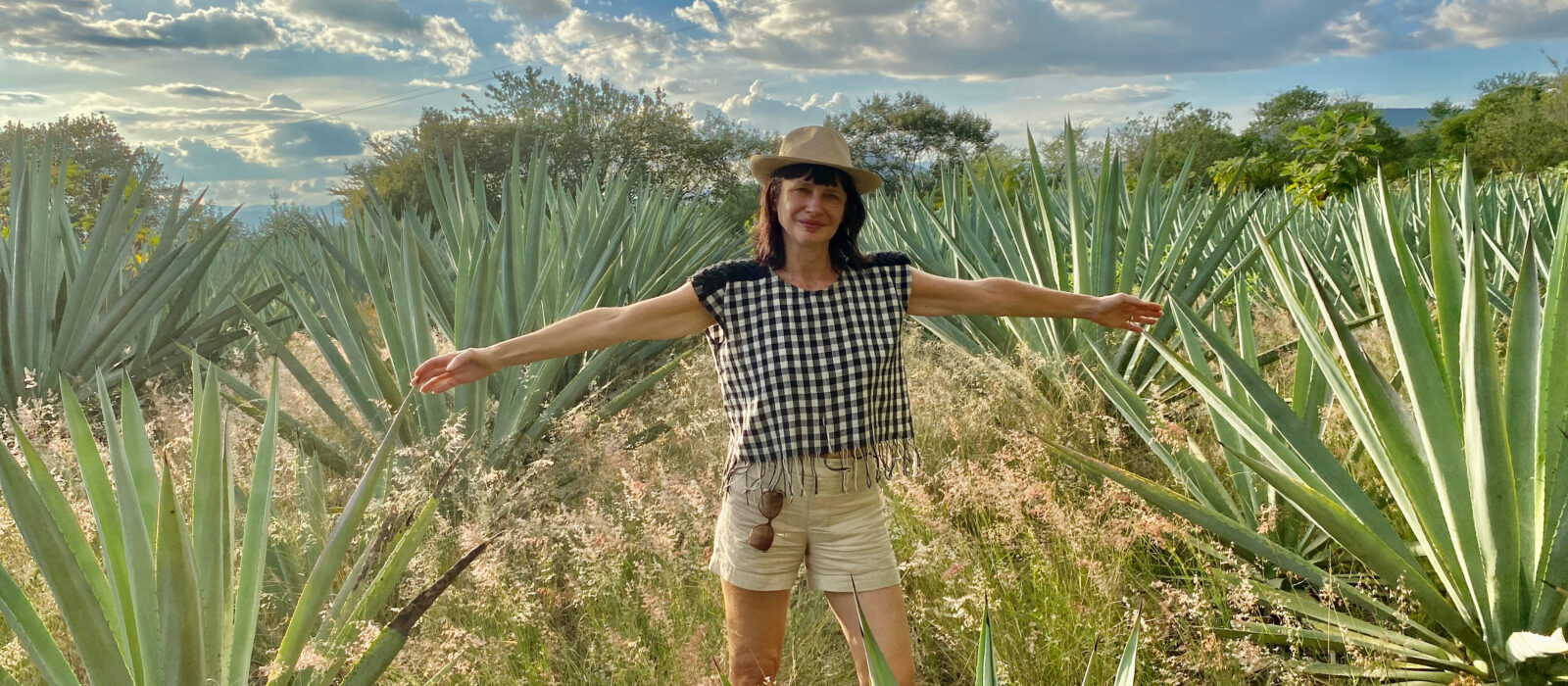Carry in agave field