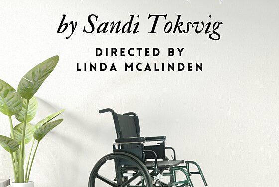 Silver Lining by Sandi Toksvig