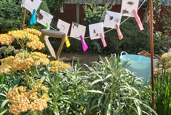 Dark Peak Photo Exhibition