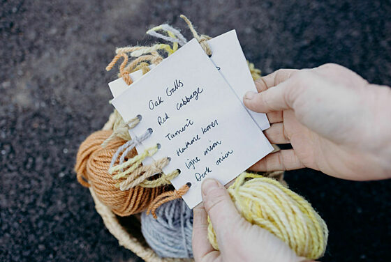From Plant to Pigment: Beginner's Natural Dye Workshop