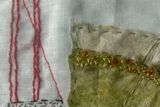 Slow Stitching by Christine Thomas