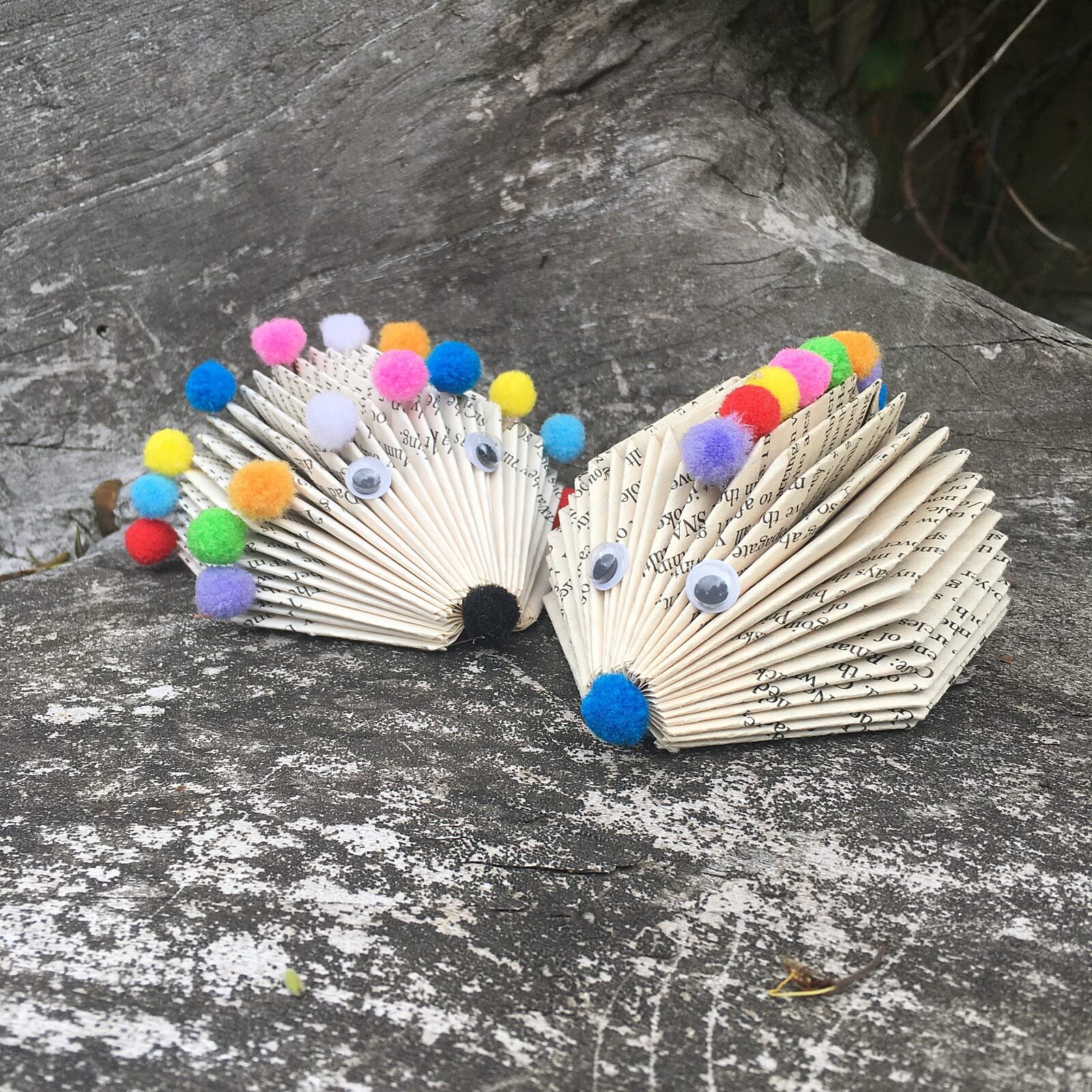 Rainbow Hedgehog 1 copy